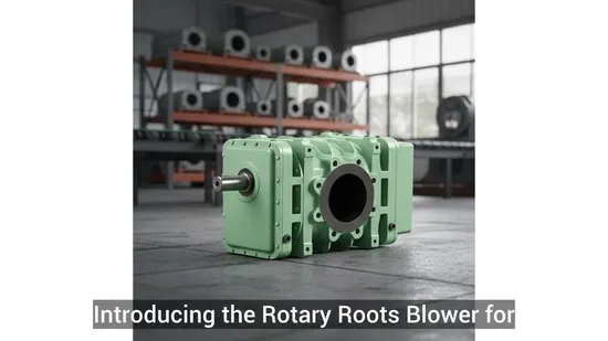 High Efficiency Water Treatment Roots Blower by Zhanggu (Model MB8020)